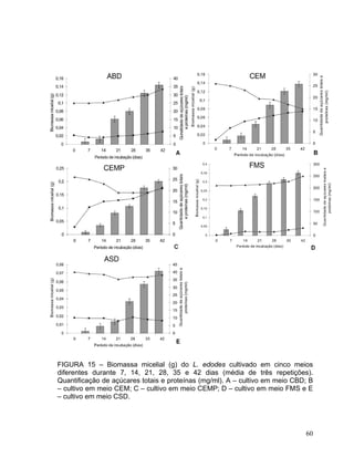 FIGURA 15 – Biomassa micelial (g) do L. edodes cultivado em cinco meios
diferentes durante 7, 14, 21, 28, 35 e 42 dias (média de três repetições).
Quantificação de açúcares totais e proteínas (mg/ml). A – cultivo em meio CBD; B
– cultivo em meio CEM; C – cultivo em meio CEMP; D – cultivo em meio FMS e E
– cultivo em meio CSD.




                                                                             60
 