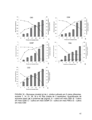 FIGURA 16 – Biomassa micelial (g) de L. crinitus cultivado em 5 meios diferentes,
durante 7, 14, 21, 28, 35 e 42 dias (média de 3 repetições). Quantificação de
açúcares totais (▲) e proteínas (■) (mg/ml). A – cultivo em meio CBD; B – cultivo
em meio CEM; C – cultivo em meio CEMP; D – cultivo em meio FMS e E – cultivo
em meio CSD




                                                                              62
 