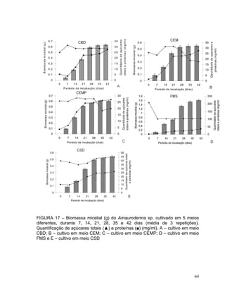 FIGURA 17 – Biomassa micelial (g) do Amauroderma sp. cultivado em 5 meios
diferentes, durante 7, 14, 21, 28, 35 e 42 dias (média de 3 repetições).
Quantificação de açúcares totais (▲) e proteínas (■) (mg/ml). A – cultivo em meio
CBD; B – cultivo em meio CEM; C – cultivo em meio CEMP; D – cultivo em meio
FMS e E – cultivo em meio CSD




                                                                              64
 