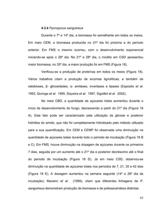4.3.4 Pycnoporus sanguineus

         Durante o 7º e 14º dia, a biomassa foi semelhante em todos os meios.

Em meio CEM, a biomassa produzida no 21º dia foi próxima a do período

anterior. Em FMS o mesmo ocorreu, com o desenvolvimento exponencial

iniciando-se após o 28º dia. No 21º e 28º dia, o micélio em CSD apresentou

maior biomassa; no 35º dia, a maior produção foi em FMS (Figura 18).

         Verificou-se a produção de proteínas em todos os meios (Figura 18).

Vários trabalhos citam a produção de enzimas lignolíticas, e também de

celobioses, β- glicosidades, α- amilases, invertases e lipases (Esposito et al.

1993, Quiroga et al. 1995, Siqueira et al. 1997, Sigoillot et al. 2002).

         No meio CBD, a quantidade de açúcares totais aumentou durante o

início de desenvolvimento do fungo, decrescendo a partir do 21º dia (Figura 18

A). Este fato pode ser caracterizado pela utilização da glicose e posterior

hidrólise do amido, que não foi completamente hidrolisado pelo método utilizado

para a sua quantificação. Em CEM e CEMP foi observada uma diminuição na

quantidade de açúcares totais durante todo o período de incubação (Figura 18 B

e C). Em FMS, houve diminuição na dosagem de açúcares durante os primeiros

7 dias, seguida por um aumento até o 21º dia e posterior decréscimo até o final

do período de incubação (Figura 18 D). Já em meio CSD, observou-se

diminuição na quantidade de açúcares totais nos períodos de 7, 21, 35 e 42 dias

(Figura 18 E). A dosagem aumentou na semana seguinte (14º e 28º dia de

incubação). Maziero et al.      (1999), citam que diferentes linhagens de P.

sanguineus demonstram produção de biomassa e de polissacarídeos distintas.

                                                                             65
 