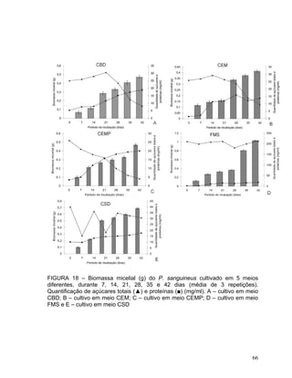 FIGURA 18 – Biomassa micelial (g) do P. sanguineus cultivado em 5 meios
diferentes, durante 7, 14, 21, 28, 35 e 42 dias (média de 3 repetições).
Quantificação de açúcares totais (▲) e proteínas (■) (mg/ml). A – cultivo em meio
CBD; B – cultivo em meio CEM; C – cultivo em meio CEMP; D – cultivo em meio
FMS e E – cultivo em meio CSD




                                                                              66
 