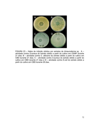 FIGURA 23 – Halos de inibição obtidos por extratos de Amauroderma sp. A –
atividade contra S.aureus do extrato obtido a partir do cultivo em CEMP durante
21 dias; B – atividade contra C. albicans do extrato obtido a partir do cultivo em
CBD durante 21 dias; C – atividade contra S.aureus do extrato obtido a partir do
cultivo em CBD durante 21 dias e D – atividade contra E.coli do extrato obtido a
partir do cultivo em CBD durante 28 dias.




                                                                               72
 