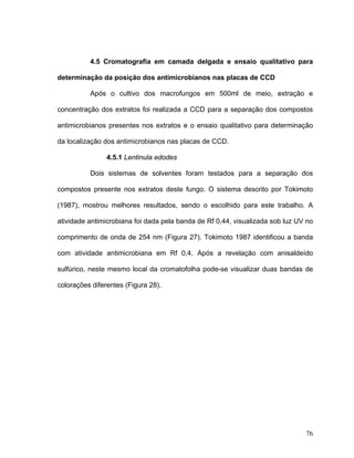 4.5 Cromatografia em camada delgada e ensaio qualitativo para

determinação da posição dos antimicrobianos nas placas de CCD

          Após o cultivo dos macrofungos em 500ml de meio, extração e

concentração dos extratos foi realizada a CCD para a separação dos compostos

antimicrobianos presentes nos extratos e o ensaio qualitativo para determinação

da localização dos antimicrobianos nas placas de CCD.

                4.5.1 Lentinula edodes

          Dois sistemas de solventes foram testados para a separação dos

compostos presente nos extratos deste fungo. O sistema descrito por Tokimoto

(1987), mostrou melhores resultados, sendo o escolhido para este trabalho. A

atividade antimicrobiana foi dada pela banda de Rf 0,44, visualizada sob luz UV no

comprimento de onda de 254 nm (Figura 27). Tokimoto 1987 identificou a banda

com atividade antimicrobiana em Rf 0,4. Após a revelação com anisaldeído

sulfúrico, neste mesmo local da cromatofolha pode-se visualizar duas bandas de

colorações diferentes (Figura 28).




                                                                               76
 
