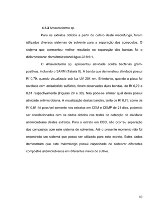 4.5.3 Amauroderma sp.

          Para os extratos obtidos a partir do cultivo deste macrofungo, foram

utilizados diversos sistemas de solvente para a separação dos compostos. O

sistema que apresentou melhor resultado na separação das bandas foi o

diclorometano: clorofórmio:etanol:água 22:8:6:1.

          O Amauroderma sp. apresentou atividade contra bactérias gram-

positivas, incluindo o SARM (Tabela 8). A banda que demonstrou atividade possui

Rf 0,79, quando visualizada sob luz UV 254 nm. Entretanto, quando a placa foi

revelada com anisaldeído sulfúrico, foram observadas duas bandas, de Rf 0,79 e

0,81 respectivamente (Figuras 29 e 30). Não pode-se afirmar qual delas possui

atividade antimicrobiana. A visualização destas bandas, tanto de Rf 0,79, como de

Rf 0,81 foi possível somente nos extratos em CEM e CEMP de 21 dias, podendo

ser correlacionadas com os dados obtidos nos testes de detecção de atividade

antimicrobiana destes extratos. Para o extrato em CBD, não ocorreu separação

dos compostos com este sistema de solventes. Até o presente momento não foi

encontrado um sistema que possa ser utilizado para este extrato. Estes dados

demonstram que este macrofungo possui capacidade de sintetizar diferentes

compostos antimicrobianos em diferentes meios de cultivo.




                                                                              80
 