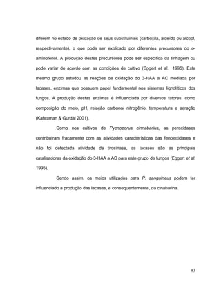 diferem no estado de oxidação de seus substituintes (carboxila, aldeído ou álcool,

respectivamente), o que pode ser explicado por diferentes precursores do o-

aminofenol. A produção destes precursores pode ser específica da linhagem ou

pode variar de acordo com as condições de cultivo (Eggert et al. 1995). Este

mesmo grupo estudou as reações de oxidação do 3-HAA a AC mediada por

lacases, enzimas que possuem papel fundamental nos sistemas lignolíticos dos

fungos. A produção destas enzimas é influenciada por diversos fatores, como

composição do meio, pH, relação carbono/ nitrogênio, temperatura e aeração

(Kahraman & Gurdal 2001).

          Como nos cultivos de Pycnoporus cinnabarius, as peroxidases

contribuíram fracamente com as atividades características das fenoloxidases e

não foi detectada atividade de tirosinase, as lacases são as principais

catalisadoras da oxidação do 3-HAA a AC para este grupo de fungos (Eggert et al.

1995).

          Sendo assim, os meios utilizados para P. sanguineus podem ter

influenciado a produção das lacases, e consequentemente, da cinabarina.




                                                                               83
 