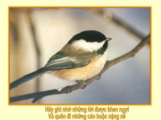 Hãy ghi nhớ những lời được khen ngợi Và quên đi những cáo buộc nặng nề 