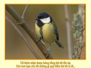 Tôi thích nhận được bông hồng khi tôi tồn tại, Còn hơn bạn cho tôi những gì quý hiếm khi tôi ra đi... 