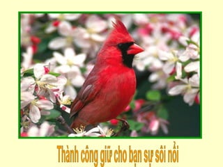 Thành công giữ cho bạn sự sôi nổi 