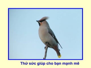 Thử sức giúp cho bạn mạnh mẽ 