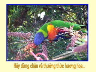 Hãy dừng chân và thưởng thức hương hoa... 