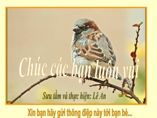Xin bạn hãy gửi thông điệp này tới bạn bè... Chúc các bạn luôn vui Sưu tầm và thực hiện: Lê An 