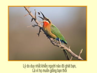 Lý do duy nhất khiến người nào đó ghét bạn, Là vì họ muốn giống bạn thôi 