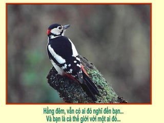 Hằng đêm, vẫn có ai đó nghĩ đến bạn... Và bạn là cả thế giới với một ai đó... 