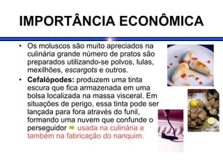 IMPORTÂNCIA ECONÔMICA
• Os moluscos são muito apreciados na
culinária grande número de pratos são
preparados utilizando-se polvos, lulas,
mexilhões, escargots e outros.
• Cefalópodes: produzem uma tinta
escura que fica armazenada em uma
bolsa localizada na massa visceral. Em
situações de perigo, essa tinta pode ser
lançada para fora através do funil,
formando uma nuvem que confunde o
perseguidor  usada na culinária e
também na fabricação do nanquim.
 