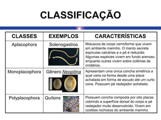 CLASSIFICAÇÃO
CLASSES EXEMPLOS CARACTERÍSTICAS
Aplacophora Solenogastros Moluscos de corpo vermiforme que vivem
em ambiente marinho. O manto secreta
espículas calcárias e o pé é reduzido.
Algumas espécies vivem em fundo arenoso
enquanto outras vivem sobre colônias de
cnidários.
Monoplacophora Gênero Neopilina Apresentam uma única concha simétrica a
qual varia na forma desde uma placa
achatada em forma de escudo até um curto
cone. Possuem pé rastejador achatado.
Polyplacophora Quítons Possuem concha composta por oito placas
cobrindo a superfície dorsal do corpo e pé
rastejador muito desenvolvido. Vivem em
costões rochosos do ambiente marinho.
 
