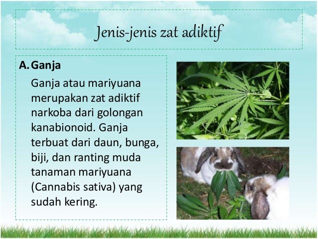 Zat Adiktif dan Psikotropika