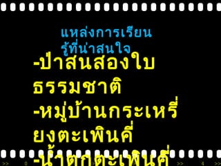 แหล่งการเรียน 
รู้ที่น่าสนใจ 
-ป่าสนสองใบ 
ธรรมชาติ 
-หมู่บ้านกระเหรี่ 
ยงตะเพินคี่ 
-นำ้าตกตะเพินคี่ 
>> 0 >> 1 >> 2 >> 3 >> 4 >> 
 