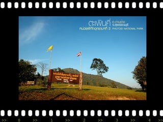 >> 0 >> 1 >> 2 >> 3 >> 4 >> 
 