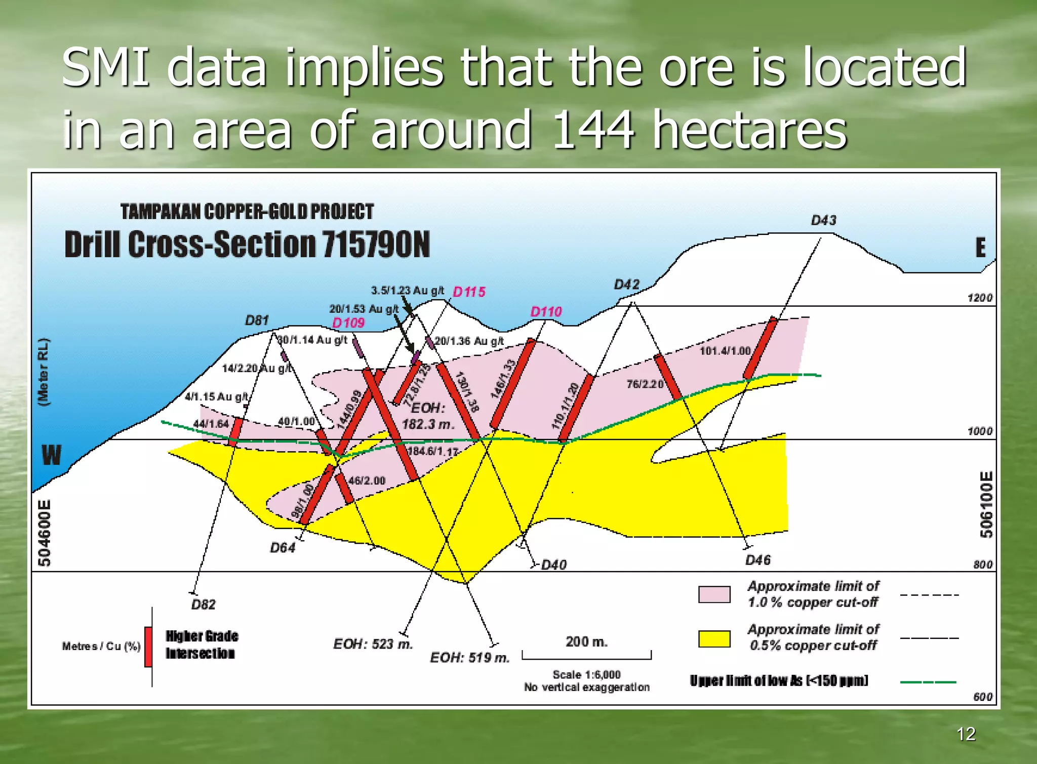 SMI data implies that the ore is located
in an area of around 144 hectares




                                       12
 