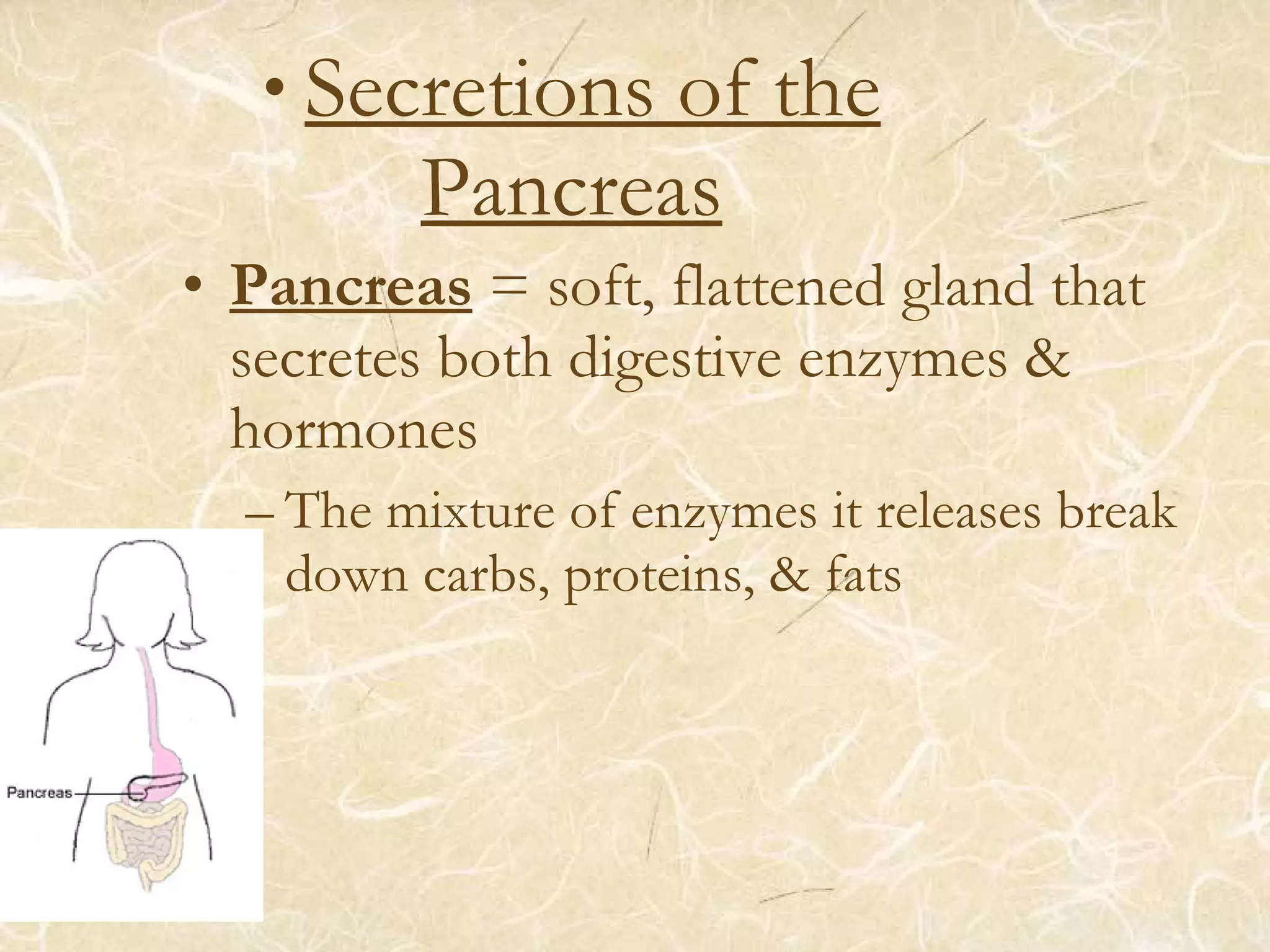 • Secretions of the
Pancreas
• Pancreas = soft, flattened gland that
secretes both digestive enzymes &
hormones
– The mixture of enzymes it releases break
down carbs, proteins, & fats
 