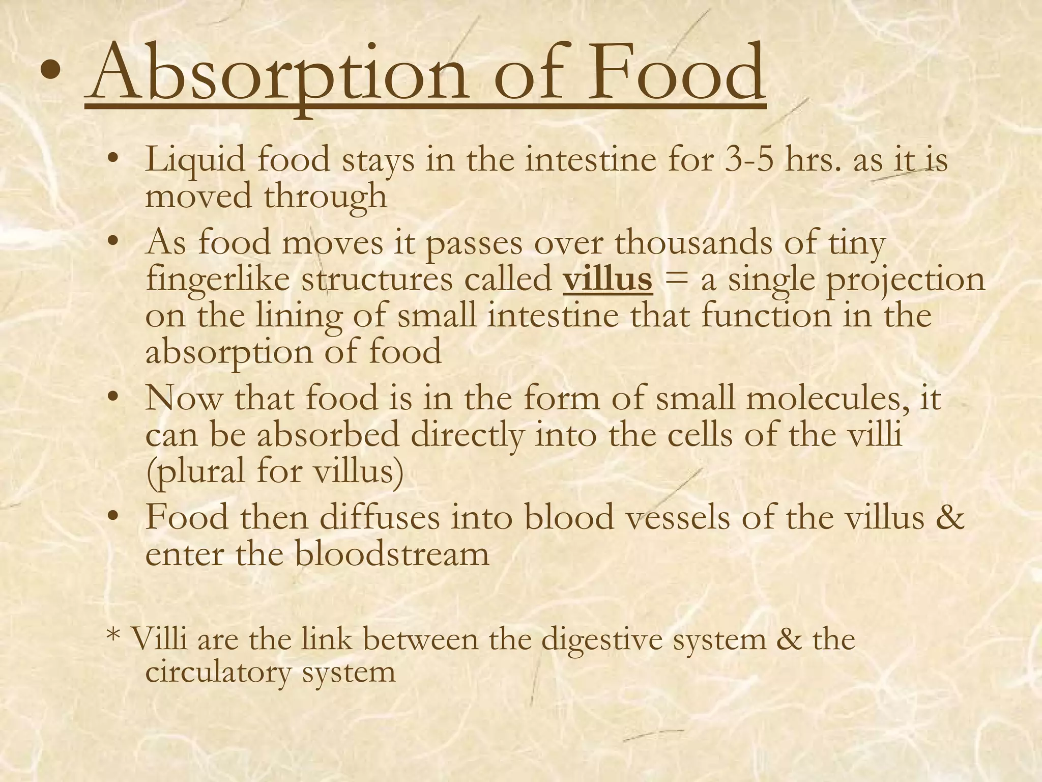 • Absorption of Food
• Liquid food stays in the intestine for 3-5 hrs. as it is
moved through
• As food moves it passes over thousands of tiny
fingerlike structures called villus = a single projection
on the lining of small intestine that function in the
absorption of food
• Now that food is in the form of small molecules, it
can be absorbed directly into the cells of the villi
(plural for villus)
• Food then diffuses into blood vessels of the villus &
enter the bloodstream
* Villi are the link between the digestive system & the
circulatory system
 