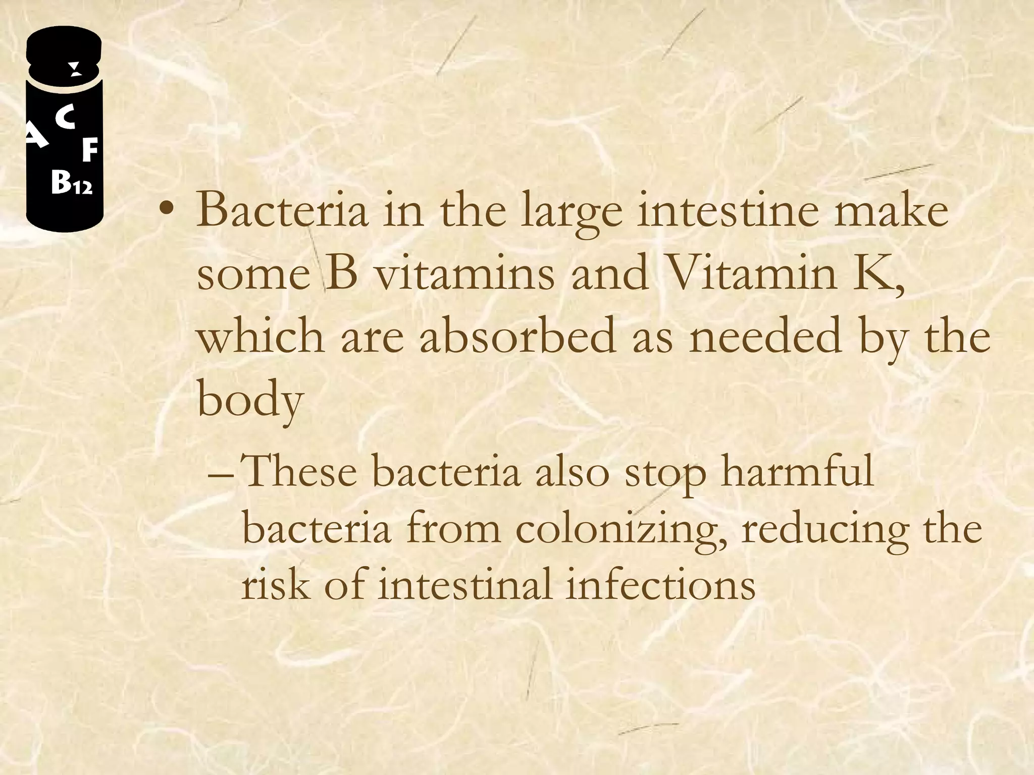 • Bacteria in the large intestine make
some B vitamins and Vitamin K,
which are absorbed as needed by the
body
–These bacteria also stop harmful
bacteria from colonizing, reducing the
risk of intestinal infections
 