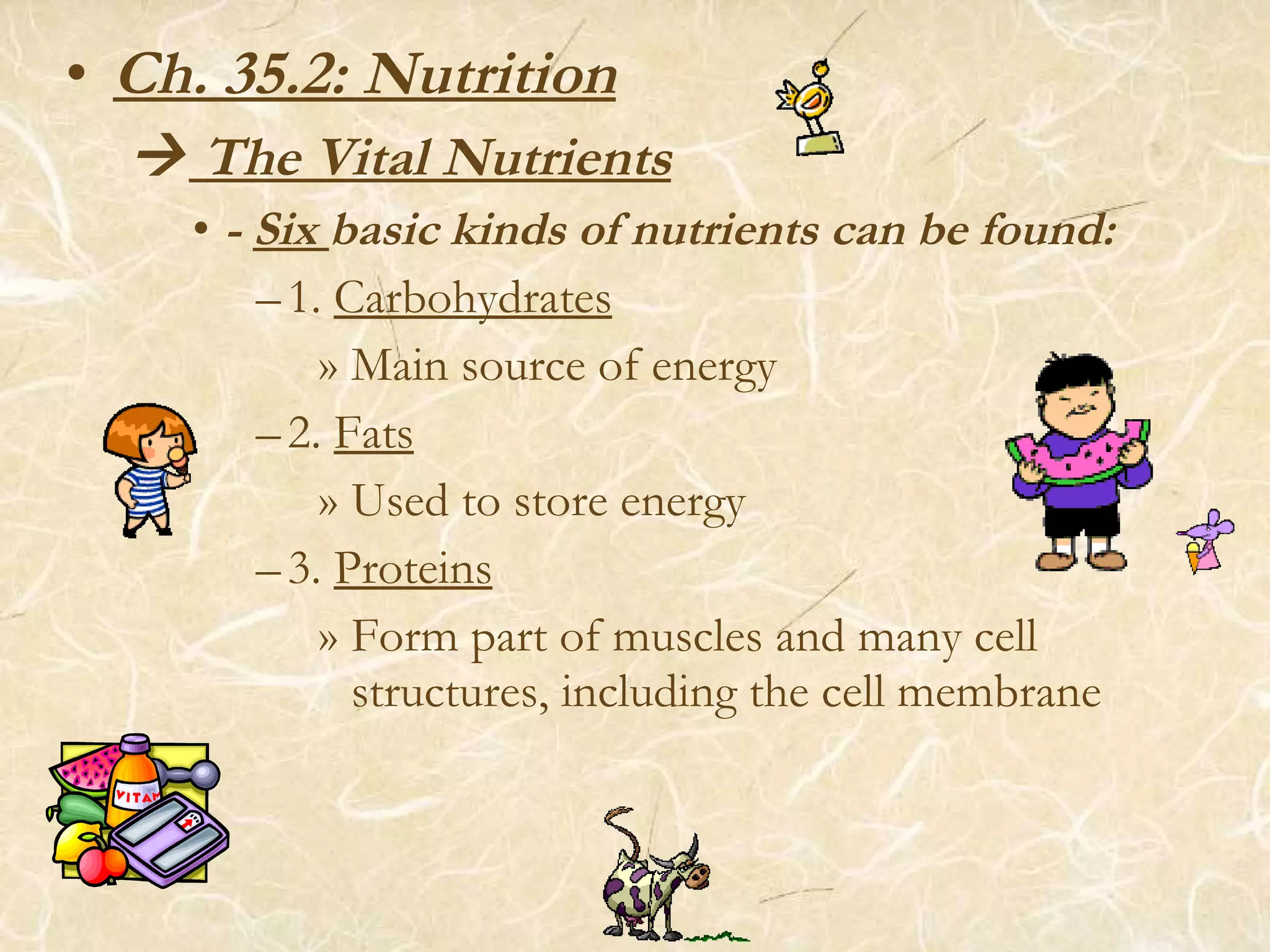 • Ch. 35.2: Nutrition
 The Vital Nutrients
• - Six basic kinds of nutrients can be found:
–1. Carbohydrates
» Main source of energy
–2. Fats
» Used to store energy
–3. Proteins
» Form part of muscles and many cell
structures, including the cell membrane
 