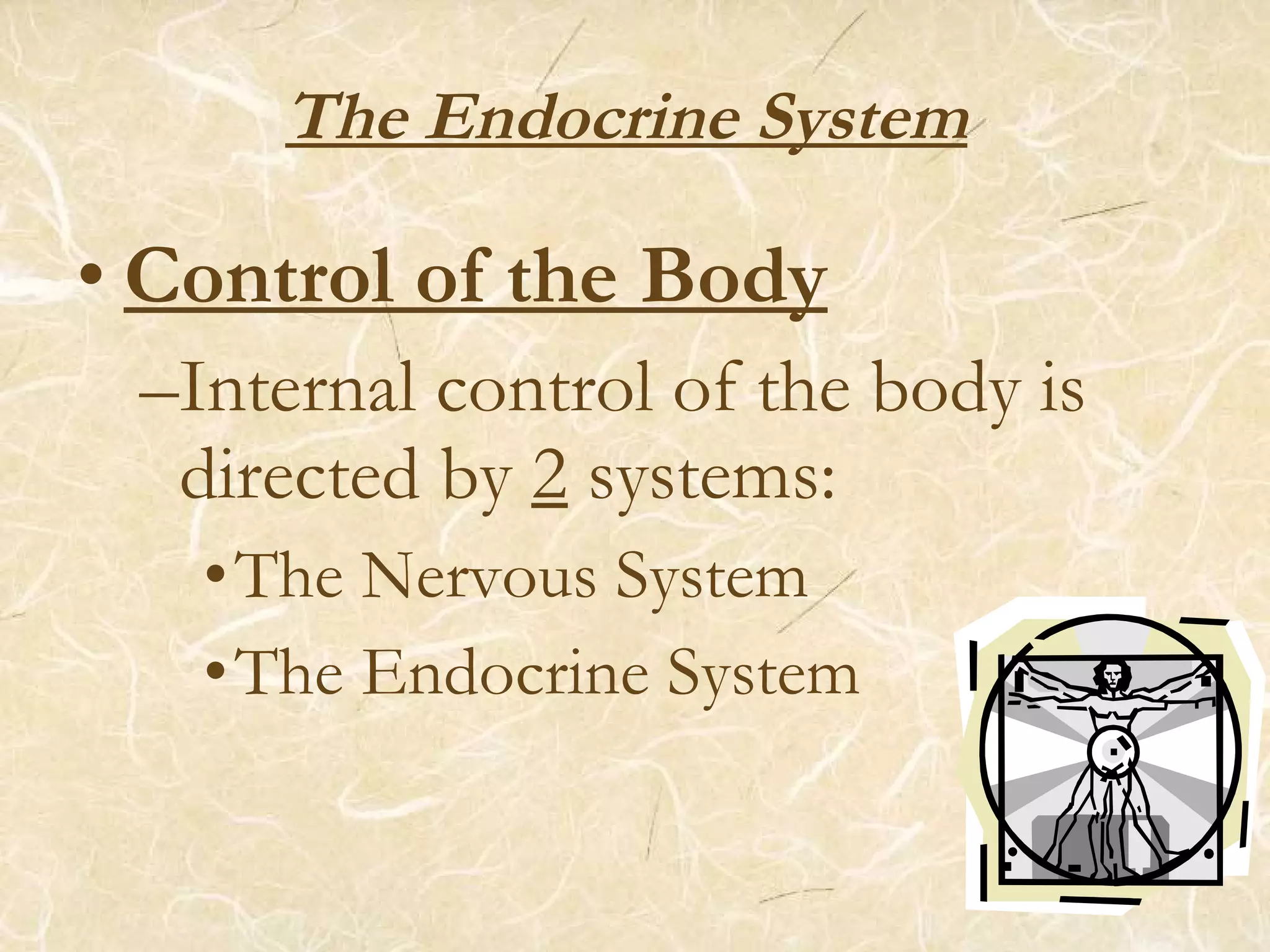 The Endocrine System
• Control of the Body
–Internal control of the body is
directed by 2 systems:
•The Nervous System
•The Endocrine System
 