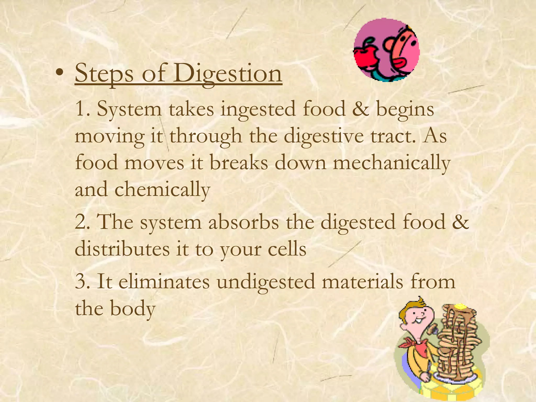 • Steps of Digestion
1. System takes ingested food & begins
moving it through the digestive tract. As
food moves it breaks down mechanically
and chemically
2. The system absorbs the digested food &
distributes it to your cells
3. It eliminates undigested materials from
the body
 