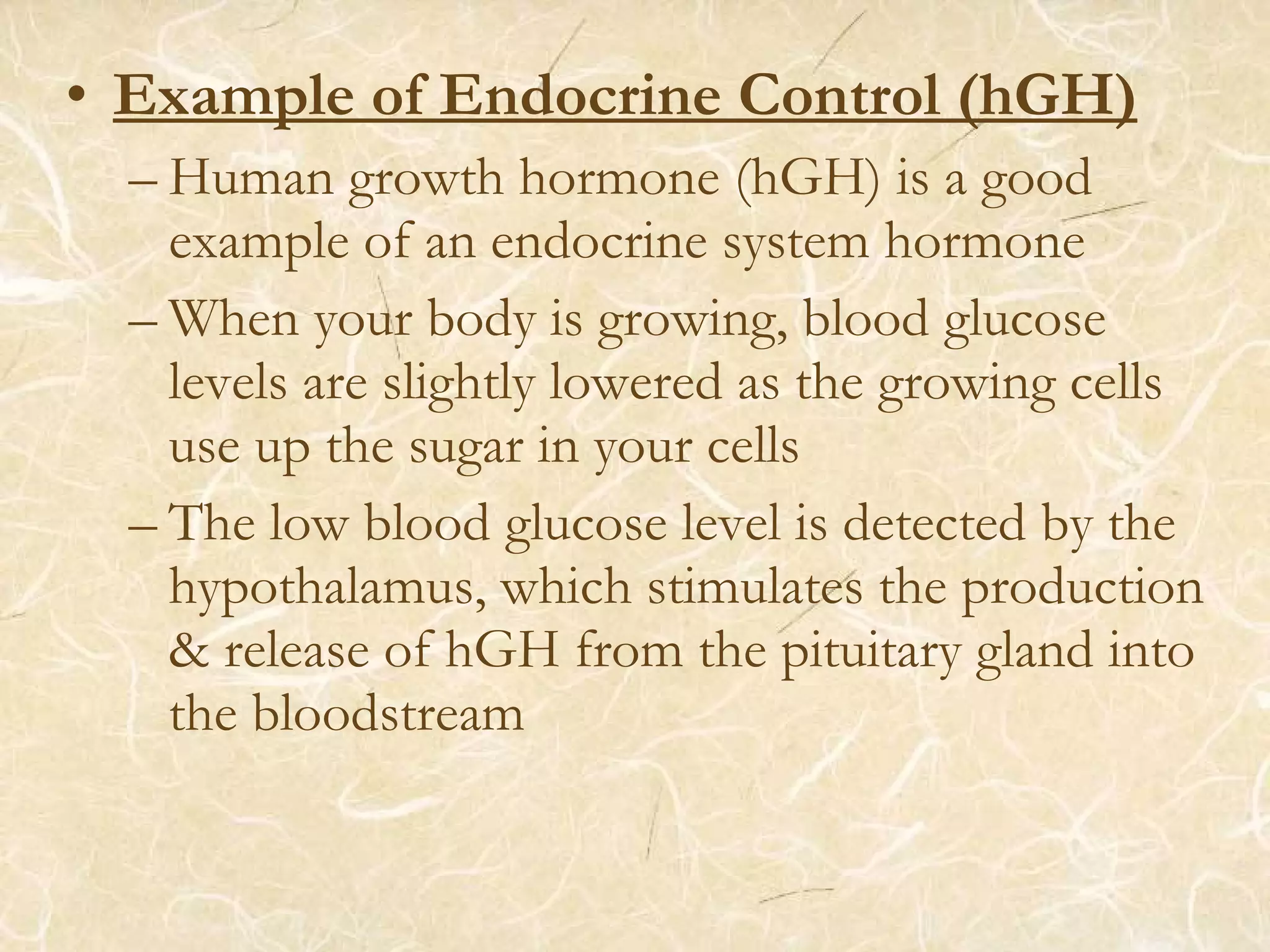 • Example of Endocrine Control (hGH)
– Human growth hormone (hGH) is a good
example of an endocrine system hormone
– When your body is growing, blood glucose
levels are slightly lowered as the growing cells
use up the sugar in your cells
– The low blood glucose level is detected by the
hypothalamus, which stimulates the production
& release of hGH from the pituitary gland into
the bloodstream
 
