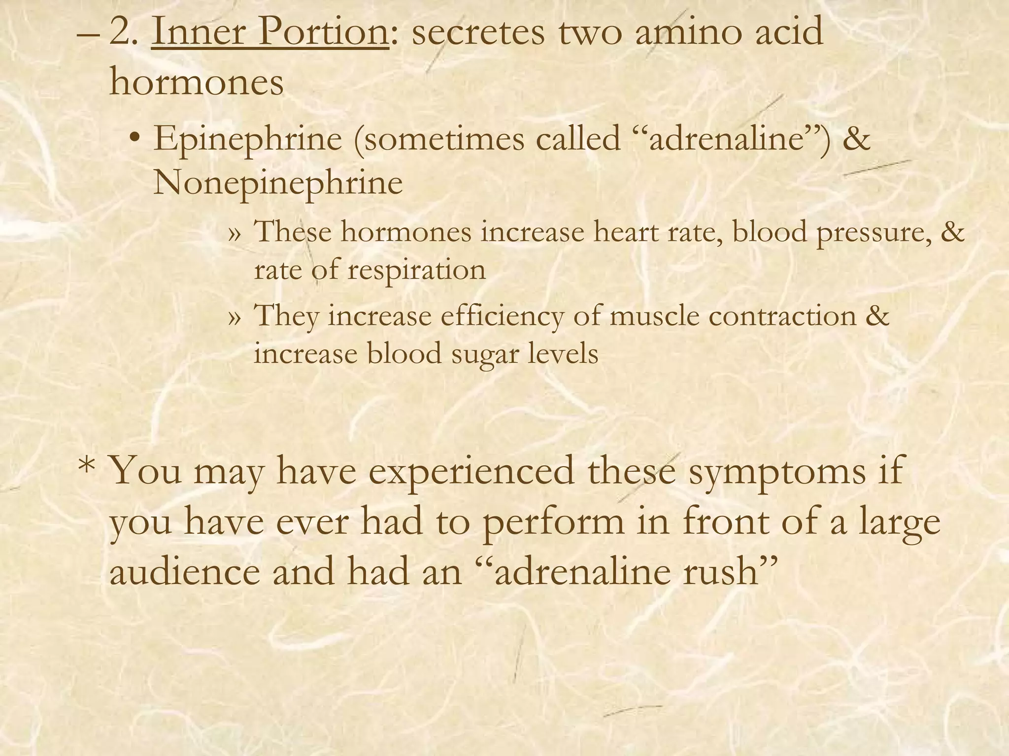 – 2. Inner Portion: secretes two amino acid
hormones
• Epinephrine (sometimes called “adrenaline”) &
Nonepinephrine
» These hormones increase heart rate, blood pressure, &
rate of respiration
» They increase efficiency of muscle contraction &
increase blood sugar levels
* You may have experienced these symptoms if
you have ever had to perform in front of a large
audience and had an “adrenaline rush”
 