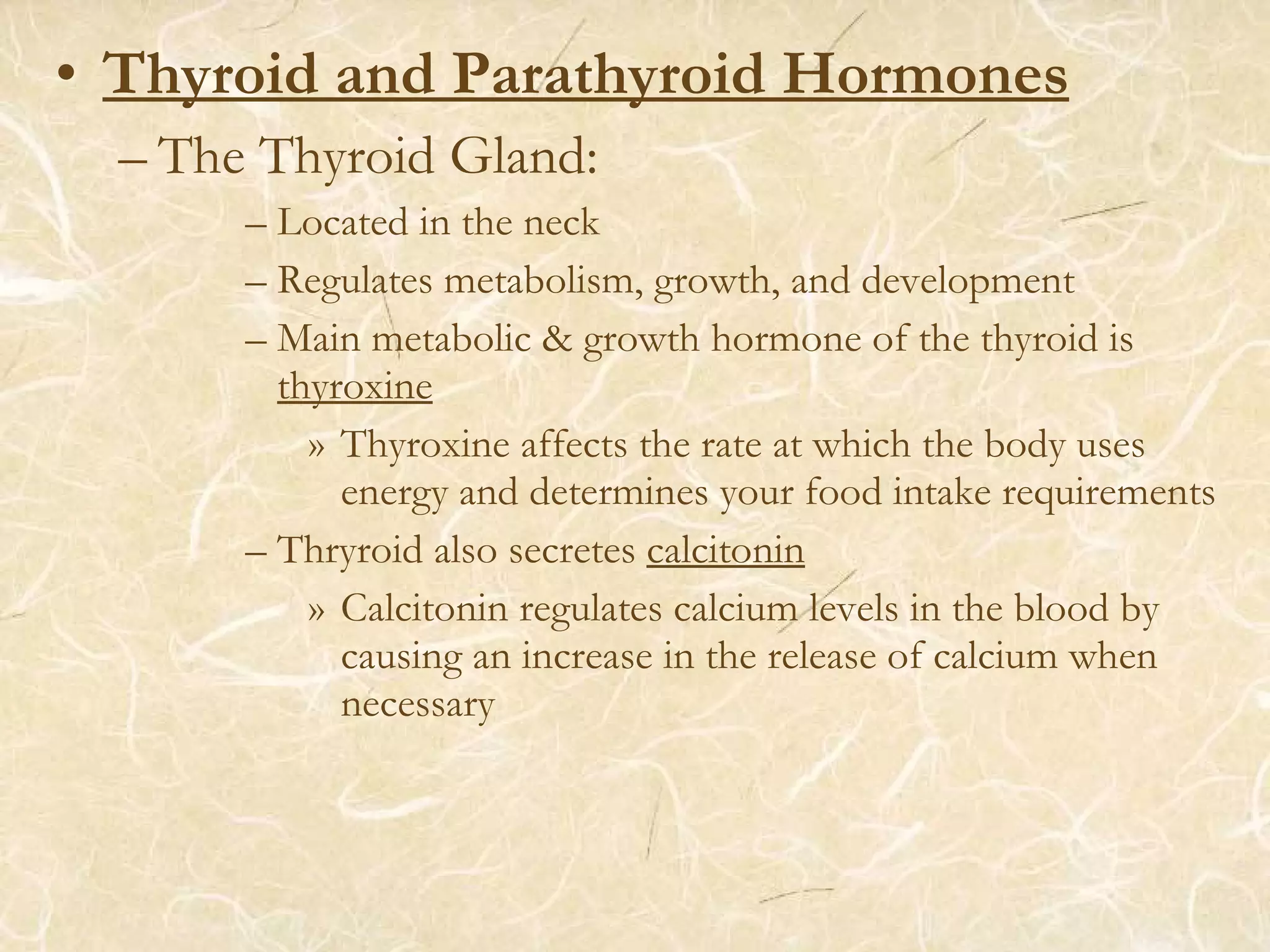 • Thyroid and Parathyroid Hormones
– The Thyroid Gland:
– Located in the neck
– Regulates metabolism, growth, and development
– Main metabolic & growth hormone of the thyroid is
thyroxine
» Thyroxine affects the rate at which the body uses
energy and determines your food intake requirements
– Thryroid also secretes calcitonin
» Calcitonin regulates calcium levels in the blood by
causing an increase in the release of calcium when
necessary
 