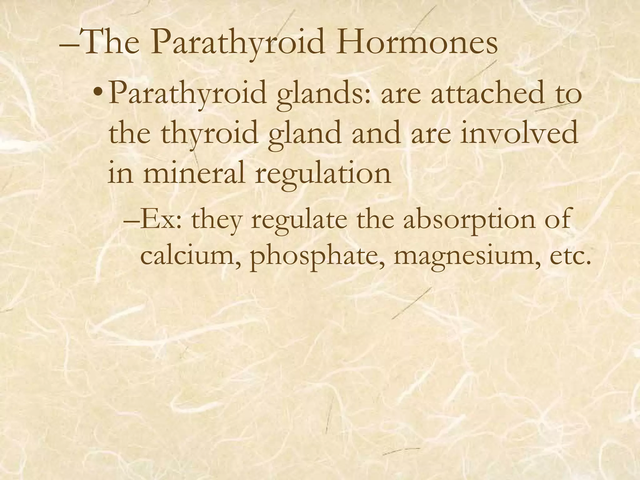 –The Parathyroid Hormones
•Parathyroid glands: are attached to
the thyroid gland and are involved
in mineral regulation
–Ex: they regulate the absorption of
calcium, phosphate, magnesium, etc.
 