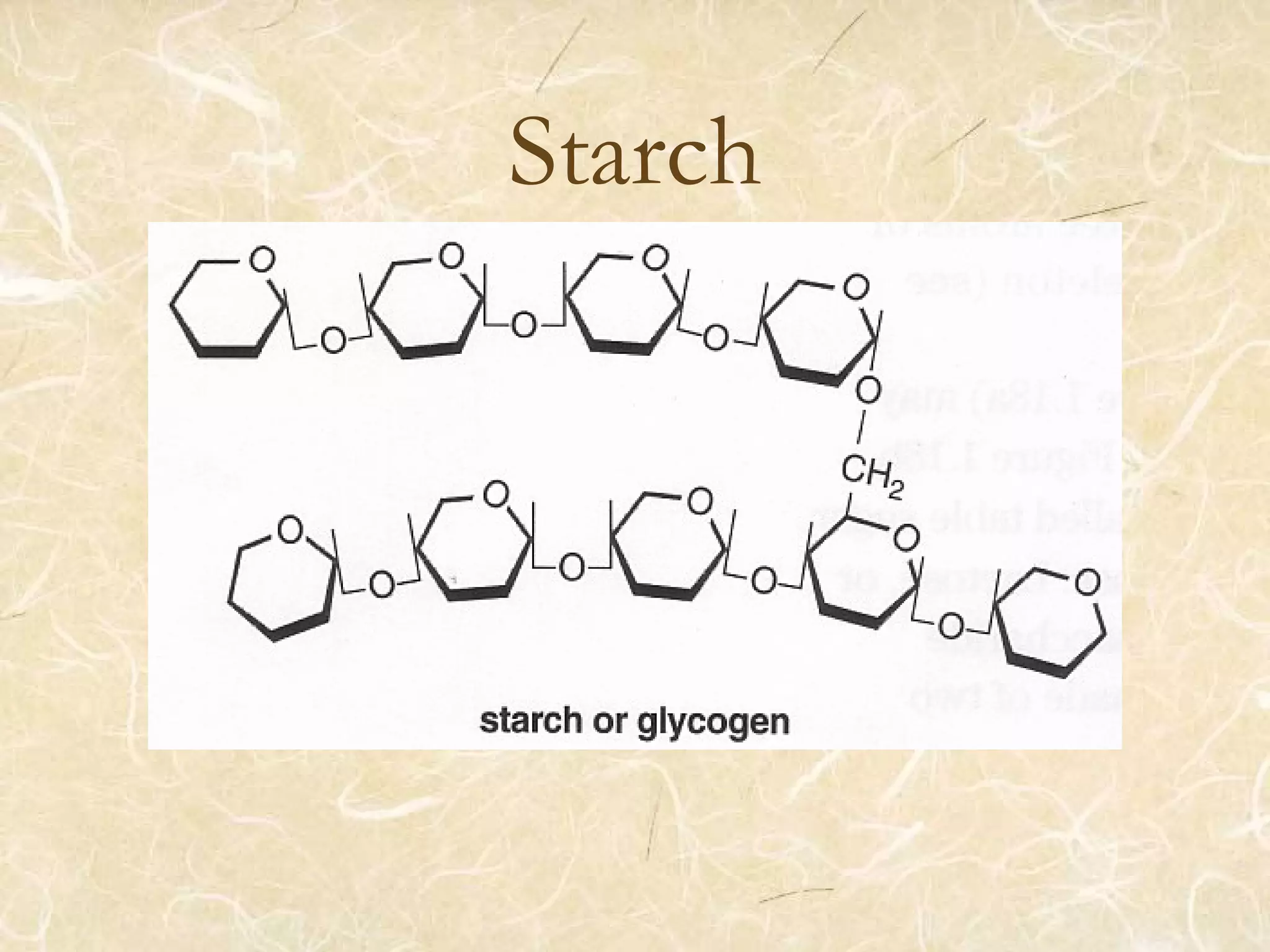 Starch
 