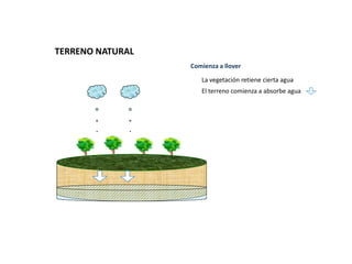 El terreno comienza a absorbe agua
Comienza a llover
La vegetación retiene cierta agua
TERRENO NATURAL
 