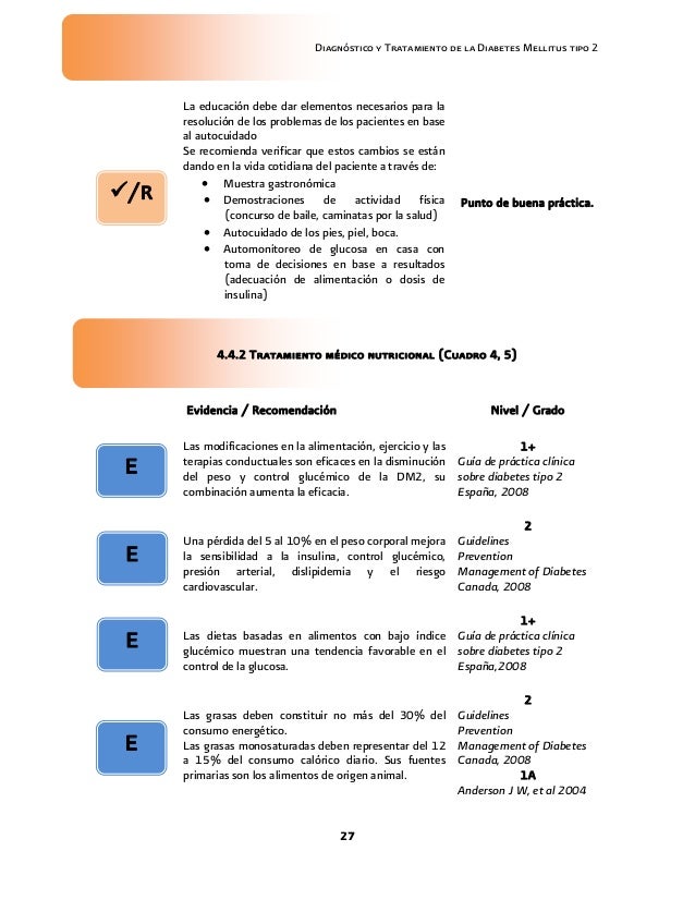 GUIA EVIDENCIAS Y RECOMENDACIONES DIABETES MELLITUS GUIA EVIDENCIAS Y RECOMENDACIONES DIABETES MELLITUS
