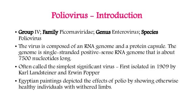 characteristics of the poliomyelitis virus Polio (also known as poliomyelitis) is a highly contagious disease caused by a virus that attacks the nervous system children younger than 5 years old are more. characteristics of the poliomyelitis virus Polio (also known as poliomyelitis) is a highly contagious disease caused by a virus that attacks the nervous system children younger than 5 years old are more.