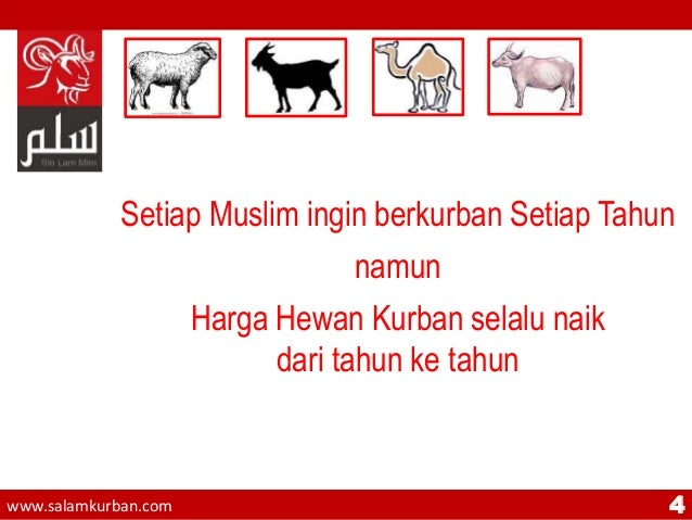 Tentang Salam Kurban