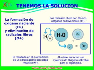 La formación de
oxígeno naciente
(O2)
y eliminación de
radicales libres
(O+)
El resultado en el cuerpo físico
es un simple átomo con carga
negativa (0-).
Los radicales libres son átomos
cargados positivamente (0+).
Al unirse, se forma una
molécula de Oxígeno utilizable
para el organismo.
TENEMOS LA SOLUCION
 