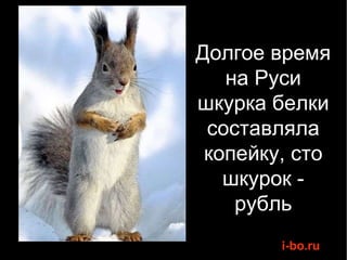Долгое время на Руси шкурка белки составляла копейку, сто шкурок - рубль 