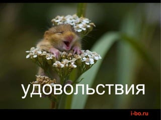 удовольствия 