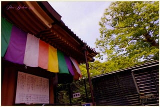 ll Fuimos a Nagano visitamos el castillo Matsumoto,  museo,templos el mejor Zenkoji 