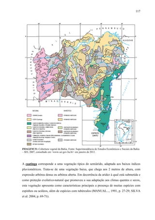 117
IMAGEM 31: Cobertura vegetal da Bahia. Fonte: Superintendência de Estudos Econômicos e Sociais da Bahia
– SEI, 2007, consultado em <www.sei.gov.ba.br> em janeiro de 2011.
A caatinga corresponde a uma vegetação típica do semiárido, adaptada aos baixos índices
pluviométricos. Trata-se de uma vegetação baixa, que chega aos 2 metros de altura, com
expressão arbórea densa ou arbórea aberta. Em decorrência da aridez à qual está submetida e
como proteção evolutivo-natural que promoveu a sua adaptação aos climas quentes e secos,
esta vegetação apresenta como características principais a presença de muitas espécies com
espinhos ou acúleos, além de espécies com tubérculos (MANUAL..., 1991, p. 27-29; SILVA
et al. 2004, p. 69-71).
 