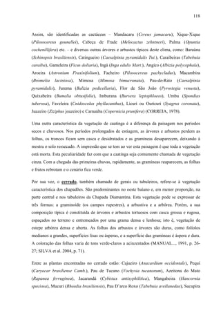 118
Assim, são identificadas as cactáceas – Mandacaru (Cereus jamacaru), Xique-Xique
(Pilosocereus gounellei), Cabeça de Frade (Melocactus zehntneri), Palma (Opuntia
cochenillifera) etc. – e diversas outras árvores e arbustos típicos deste clima, como: Baraúna
(Schinopsis brasiliensis), Catingueiro (Caesalpinia pyramidalis Tui.), Caraibeiras (Tabebuia
caraiba), Gameleira (Ficus doliaria), Ingá (Inga edulis Mart.), Angico (Albizia polycephala),
Aroeira (Astronium Fraxinifolium), Facheiro (Pilosocereus pachycladus), Macambira
(Bromelia laciniosa), Mimosa (Mimosa bimucronata), Pau-de-Rato (Caesalpinia
pyramidalis), Jurema (Balizia pedicellaria), Flor de São João (Pyrostegia venusta),
Quixabeira (Bumelia obtusifolia), Imburana (Bursera leptophloeos), Umbu (Spondias
tuberosa), Faveleira (Cnidoscolus phyllacanthus), Licuri ou Ouricuri (Syagrus coronata),
Juazeiro (Ziziphus joazeiro) e Carnaúba (Copernicia prunifera) (CORREIA, 1978).
Uma outra característica da vegetação de caatinga é a diferença da paisagem nos períodos
secos e chuvosos. Nos períodos prolongados de estiagem, as árvores e arbustos perdem as
folhas, os troncos ficam sem casca e desidratados e as gramíneas desaparecem, deixando à
mostra o solo ressecado. A impressão que se tem ao ver esta paisagem é que toda a vegetação
está morta. Esta peculiaridade faz com que a caatinga seja comumente chamada de vegetação
cinza. Com a chegada das primeiras chuvas, rapidamente, as gramíneas reaparecem, as folhas
e frutos rebrotam e o cenário fica verde.
Por sua vez, o cerrado, também chamado de gerais ou tabuleiros, refere-se à vegetação
característica dos chapadões. São predominantes no oeste baiano e, em menor proporção, na
parte central e nos tabuleiros da Chapada Diamantina. Esta vegetação pode se expressar de
três formas: a graminoide (os campos rupestres), a arbustiva e a arbórea. Porém, a sua
composição típica é constituída de árvores e arbustos tortuosos com casca grossa e rugosa,
espaçados no terreno e entremeados por uma grama densa e lenhosa; isto é, vegetação de
estepe arbórea densa e aberta. As folhas dos arbustos e árvores são duras, como folíolos
medianos a grandes, superfícies lisas ou ásperas, e a superfície das gramíneas é áspera e dura.
A coloração das folhas varia de tons verde-claros a acinzentados (MANUAL..., 1991, p. 26-
27; SILVA et al. 2004, p. 71).
Entre as plantas encontradas no cerrado estão: Cajueiro (Anacardium occidentale), Pequi
(Caryocar brasiliense Camb.), Pau de Tucano (Vochysia tucanorum), Azeitona do Mato
(Rapanea ferruginea), Jacarandá (Cybistax antisyphilitica), Mangabeira (Hancornia
speciosa), Mucuri (Rheedia brasiliensis), Pau D’arco Roxo (Tabebuia avellanedae), Sucupira
 