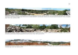 134
IMAGEM 49: Montagem fotográfica. Vista panorâmica em 180º do alto da escarpa da Serra do Tombador, próximo à divisa entre à Jacobina e Mirangaba, onde se percebe a
destruição do ambiente pela mineração ilegal, defronte do sítio Fazenda Caldeirão II; o setor destruído contrasta com a área preservada da Fazenda do Dr. Flávio, em segundo
plano. Fotos: Autor, setembro de 2009.
IMAGEM 50: Montagem fotográfica. Vista panorâmica em 270º do alto da escarpa da Serra do Tombador, na divisa entre Jacobina e Mirangaba, onde se percebe a
destruição do ambiente pela mineração ilegal defronte do sítio Rio Preto I. Fotos: Autor, janeiro de 2010.
IMAGEM 51: Montagem fotográfica. Vista panorâmica em 360º do alto da escarpa da Serra do Tombador, em Mirangaba, onde se percebe a destruição do ambiente pela
mineração ilegal. Fotos: Autor, janeiro de 2010.
 
