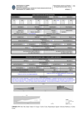 UNIVERSIDADE DE COIMBRA
FACULDADE DE LETRAS
INSTITUTO DE ARQUEOLOGIA / CENTRO DE ESTUDOS ARQUEOLÓGICOS DAS
UNIVERSIDADES DE COIMBRA E PORTO
Representações rupestres no Piemonte
da Chapada Diamantina (Bahia, Brasil)
APÊNDICE 1
334
CARACTERÍSTICAS DAS REPRESENTAÇÕES
QTD PAINÉIS 2 TIPO DE REPRESENTAÇÃO PINTURA X GRAVURA ---
ORIENTAÇÃO (PONTOS CARDEAIS)
N --- NE --- E --- SE --- S --- SO 210º O --- NO ---
TÉCNICA APLICADA
DESENHO --- PINTURA X RASPAGEM --- PICOTAGEM ---
INSTRUMENTOS UTILIZADOS
GRAVETO --- GIZ X CARVÃO --- PERCUTOR ---
PINCEL FINO --- PINCEL GROSSO --- DEDO X OUTRO ---
DIMENSÕES DO SUPORTE VER CROQUIS DIMENSÕES DOS PAINÉIS ---
VISUALIZAÇÃO DOS PAINÉIS
COMPLETA --- PARCIAL --- ESCASSA --- NULA X
PIGMENTOS
MONOCROMÁTICO --- BICROMÁTICO V A POLICROMÁTICO ---
MOTIVOS
ANTROPOMORFO X ZOOMORFO --- FITOMORFO --- GEOMÉTRICO X BORRÃO ---
POSICIONAMENTO DOS GRAFISMOS NO ABRIGO
TETO X LAJEDO --- PAREDE ---
DIREÇAO DO GESTO NA AÇÃO DE PINTAR
DA ESQUERDA PARA A DIREITA --- DA DIREITA PARA A ESQUERDA ---
DE CIMA PARA BAIXO --- DE BAIXO PARA CIMA ---
PROPORÇÕES EM UM MESMO PAINEL E ENTRE PAINÉIS DIFERENTES
ORDEM TEMPORAL
ANTIGO --- MÉDIO --- RECENTE ---
PREDOMINÂNCIA
ANTROPOMORFO --- ZOOMORFO --- FITOMORFO --- GEOMÉTRICO X BORRÃO ---
TIPOS DE REGISTRO DO SÍTIO
FOTOGRAFIA X CADERNO DE CAMPO X DESENHO X FICHA X
POSSIBILIDADE DE ESCAVAÇÃO SIM X NÃO
RESPONSÁVEL PELO REGISTRO EQUIPE PRESENTE EM CAMPO
CARLOS COSTA E GILCIMAR BARBOSA
CARLOS COSTA, GILCIMAR BARBOSA E PEDRO DOS
SANTOS
OBSERVAÇÕES
O SÍTIO TEM 17,4 M DE LARGURA, 1,3 M DE ALTURA E 8 M DE PROFUNDIDADE. É DIVIDIDO EM DUAS SEÇÕES SEPARADAS
POR UMA COLUNA NATURAL. A PRIMEIRA TEM 0,8 M DE ALTURA, 8M DE PROFUNDIDADE E 4M LARGURA. A SEGUNDA SEÇÃO
TEM 2,4 M DE LARGURA, 1,3 M DE ALTURA E 8M DE PROFUNDIDADE. POSSUI DUAS ENTRADAS E DOIS PAINÉIS NO TETO.
CROQUI 39: Sítio São Judas Tadeu II. Croqui: Carlos Costa. Reprodução digital: Gilcimar Barbosa e Carlos
Costa.
 