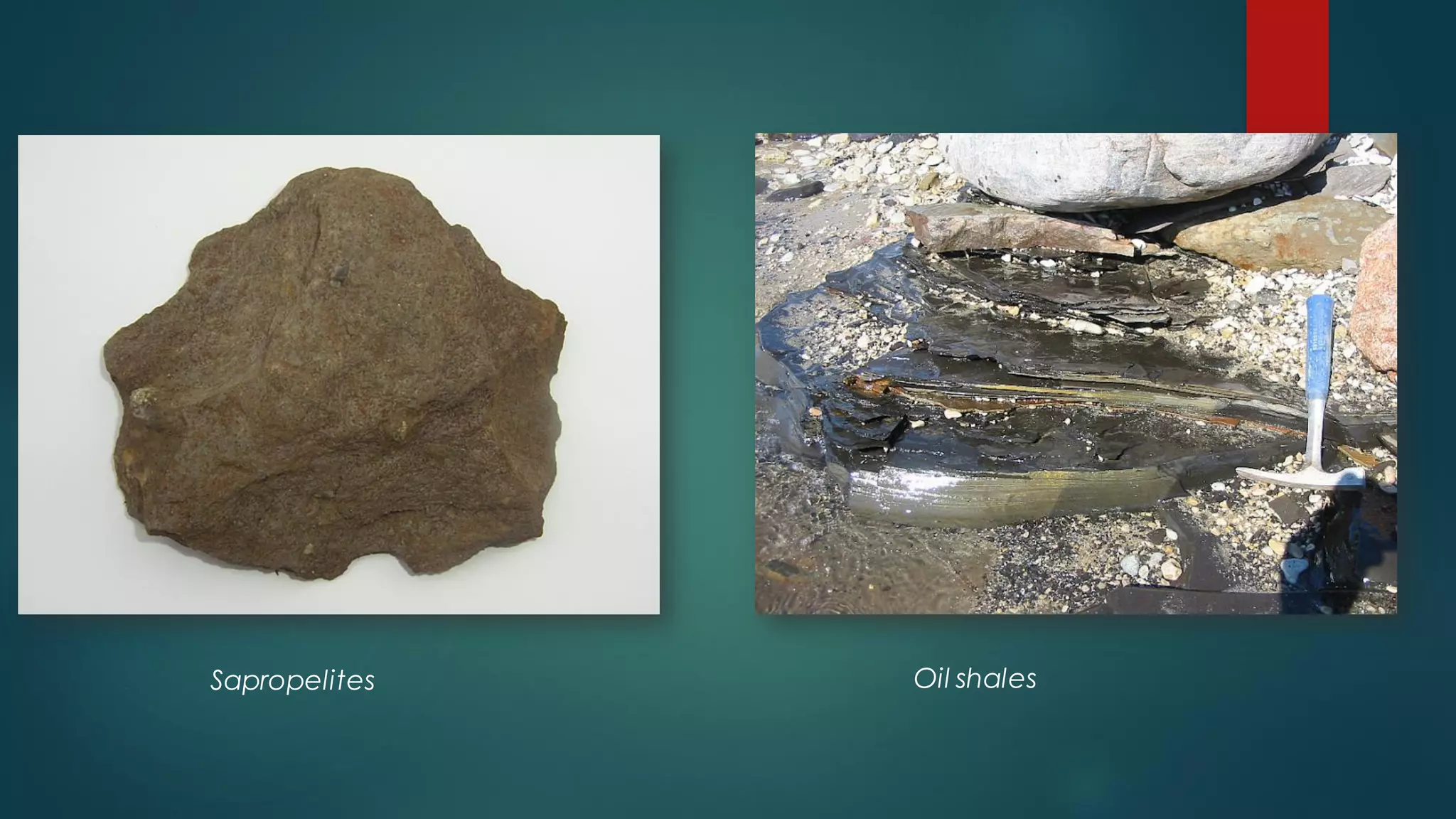 Sapropelites Oil shales
 