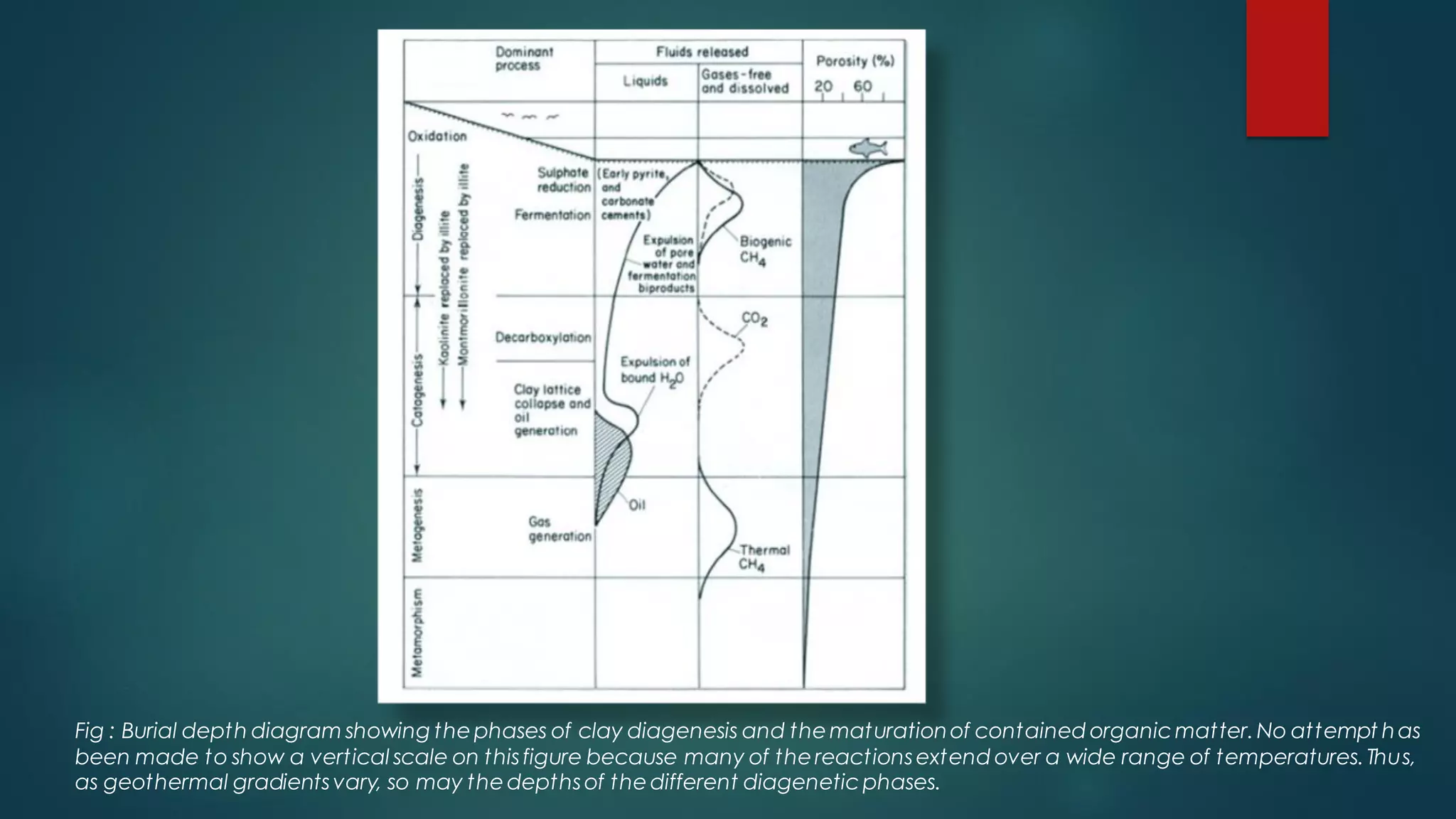 Fig : Burial depth diagram showing thephases of clay diagenesis and thematurationof contained organicmatter.No attempt has
been made to show a vertical scale on thisfigure because many of thereactionsextend over a wide range of temperatures.Thus,
as geothermal gradientsvary, so may thedepthsof thedifferent diageneticphases.
 