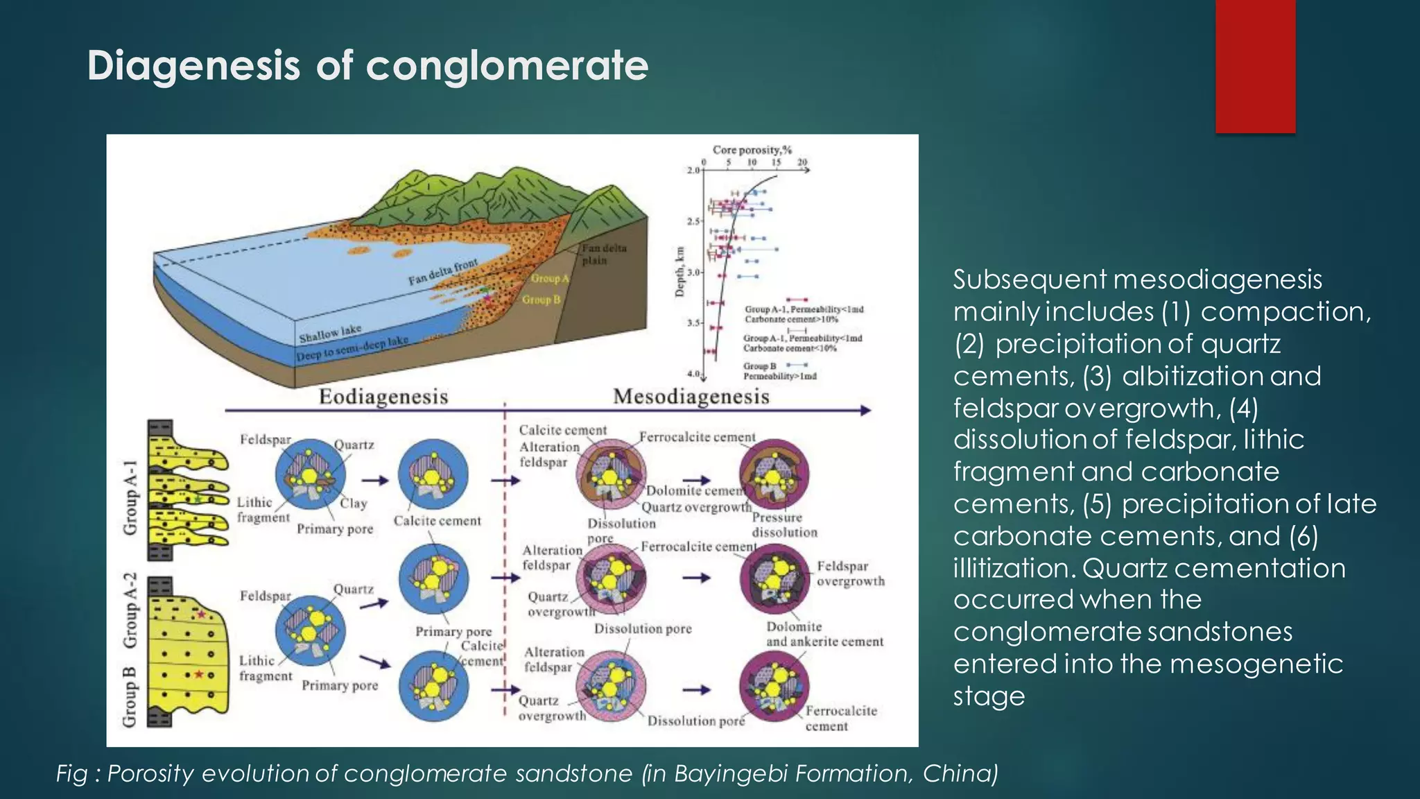 Diagenesis of conglomerate
Subsequent mesodiagenesis
mainly includes (1) compaction,
(2) precipitation of quartz
cements, (3) albitization and
feldspar overgrowth, (4)
dissolutionof feldspar, lithic
fragment and carbonate
cements, (5) precipitation of late
carbonate cements, and (6)
illitization. Quartz cementation
occurred when the
conglomerate sandstones
entered into the mesogenetic
stage
Fig : Porosity evolution of conglomerate sandstone (in Bayingebi Formation, China)
 