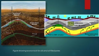 Allochemical Rocks Classification of sedimentary rock- Allochthonous sediments.pdf